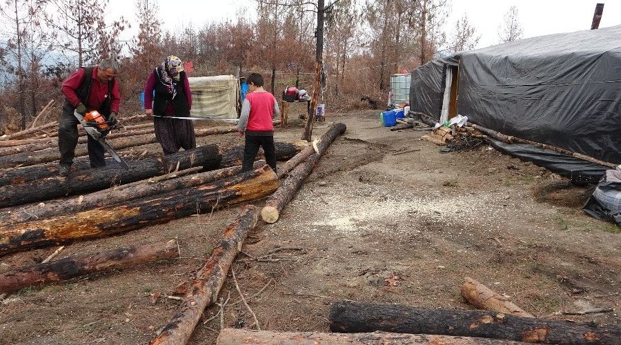 Yanan ormanlk alanlar kllerinden yeertmek iin alyorlar