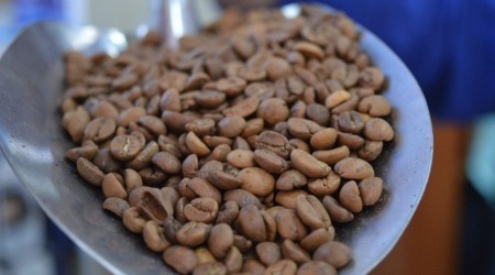 Yasaklar kalkınca taze çekilmiş kahvelerin satışı düştü, fiyatı arttı