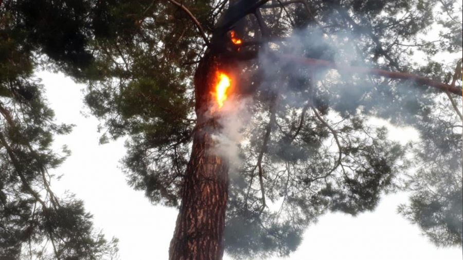 Yaz ya�murlar� y�ld�r�m yang�nlar�n� artt�rd� 