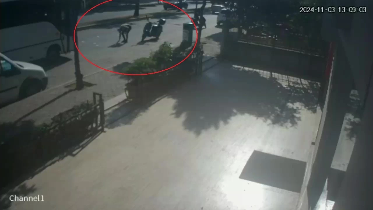 Yola düşürülen 10 bin lirayı toplayıp kayıplara karıştılar