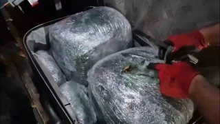 Yolcu otob�s�nde 69 bin ki�iyi zehirleyebilecek miktarda uyu�turucu ele ge�irildi