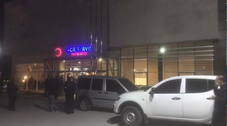Yolda yürürken aracın çarptığı 2 kardeş hayatını kaybetti