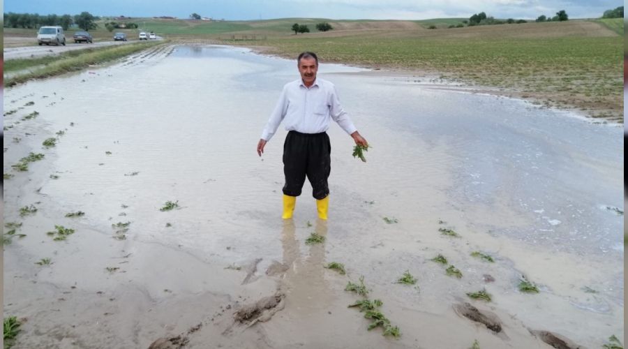 Yozgat'ta sel ekili tar�m alanlar�na zarar verdi