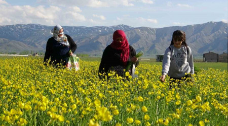 Yüksekova'da muhteşem görüntü