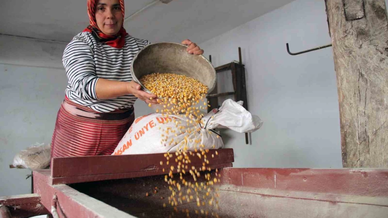 Zamana direnen arklar