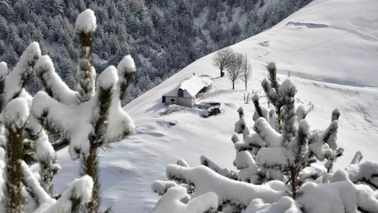 Zigana Da��'nda kar ya���� sonras� kartpostall�k g�r�nt�ler