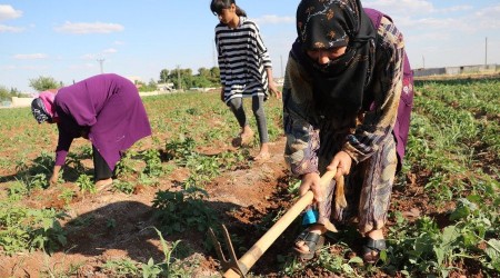 40 derece sıcakta zorlu mesai