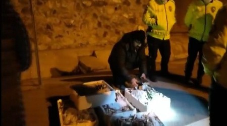 46 kasa balığa el konuldu