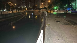 Adana'da otomobil sulama kanalna dt