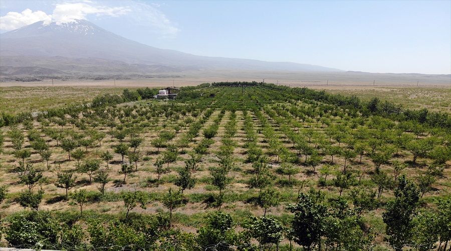 Ağrı Dağı eteklerinde rüyasını cennete çevirdi