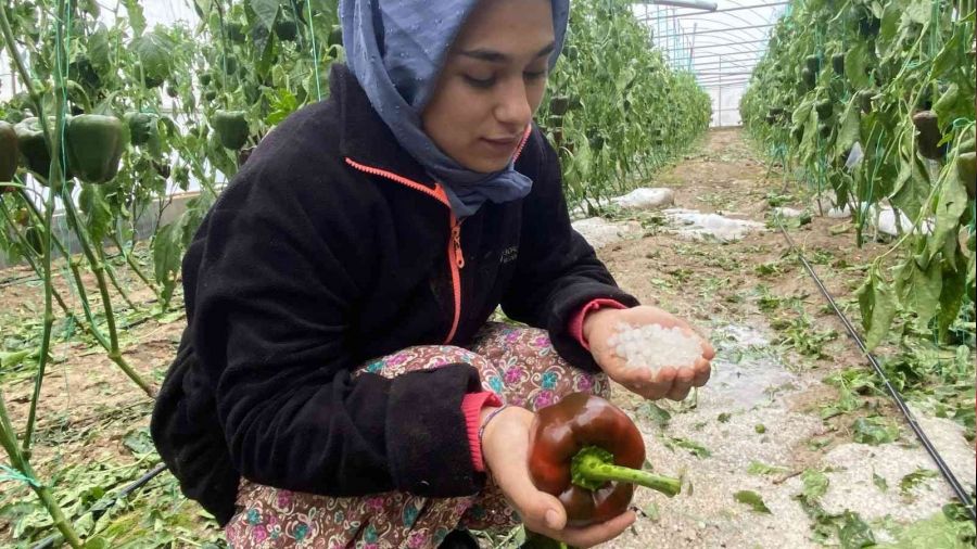 Aksu'da 95 dekar sera alanı zarar gördü