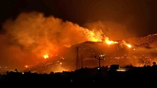 Alanya'da orman yangn sryor: Rzgar mdahaleyi zorlatryor