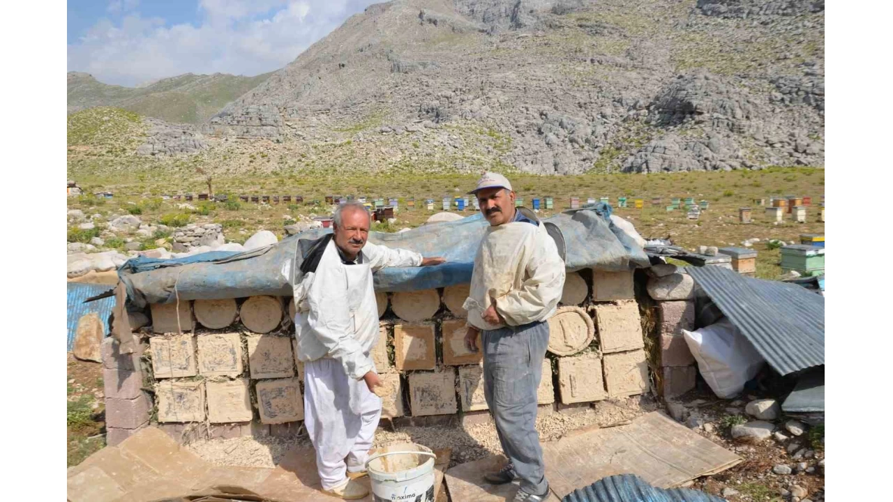 Antalya'da arclar kovanlarn yaylalara kard