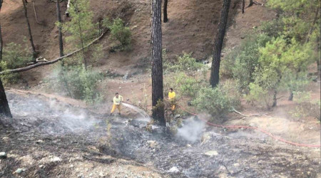 Antalya'da orman yangını büyümeden söndürüldü