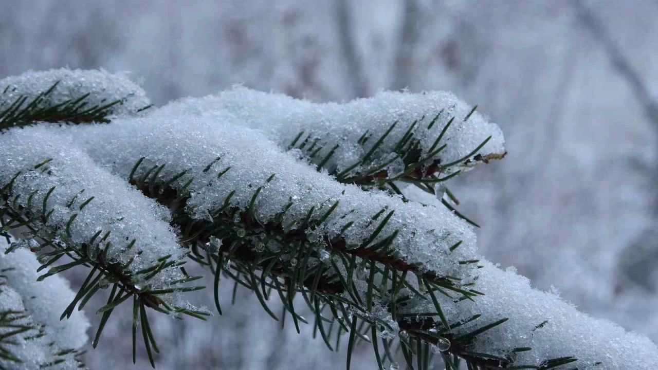 Ardahan güne karla uyandı