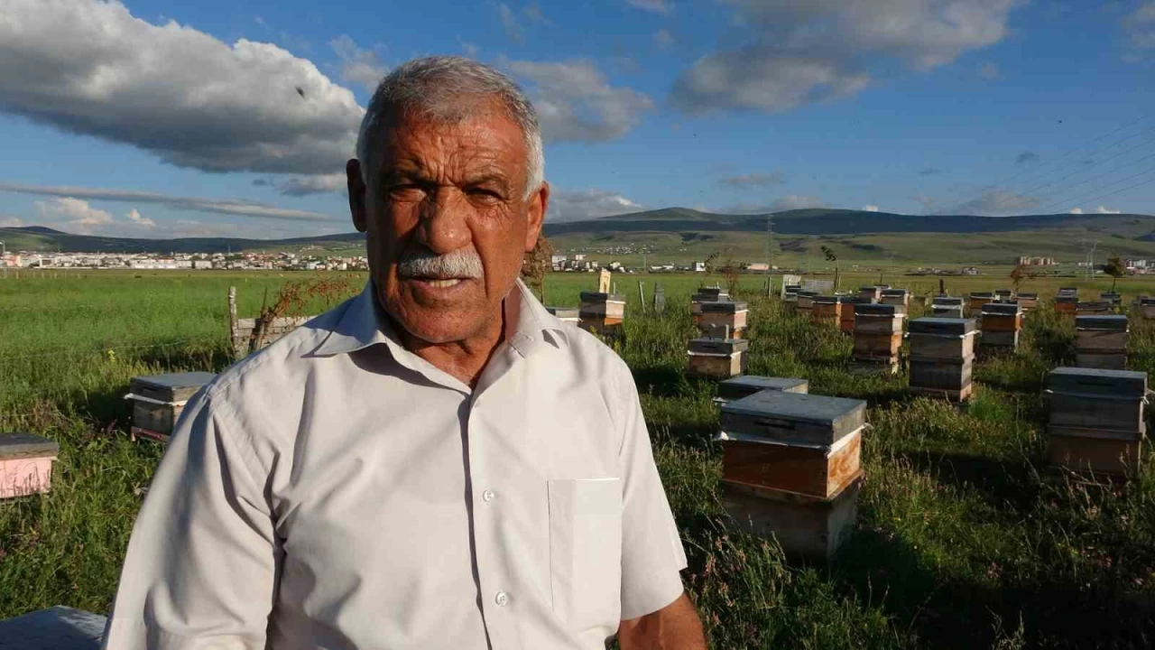 Ardahan'da 450 ton bal �retildi