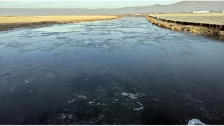  Ardahan'da Kura Nehri'nin yzeyi buz tuttu