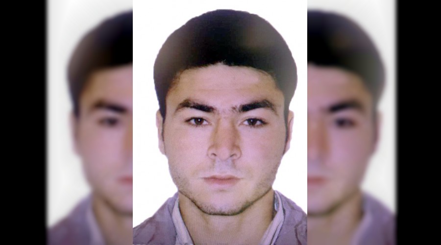 Arılar hırsıza acımadı