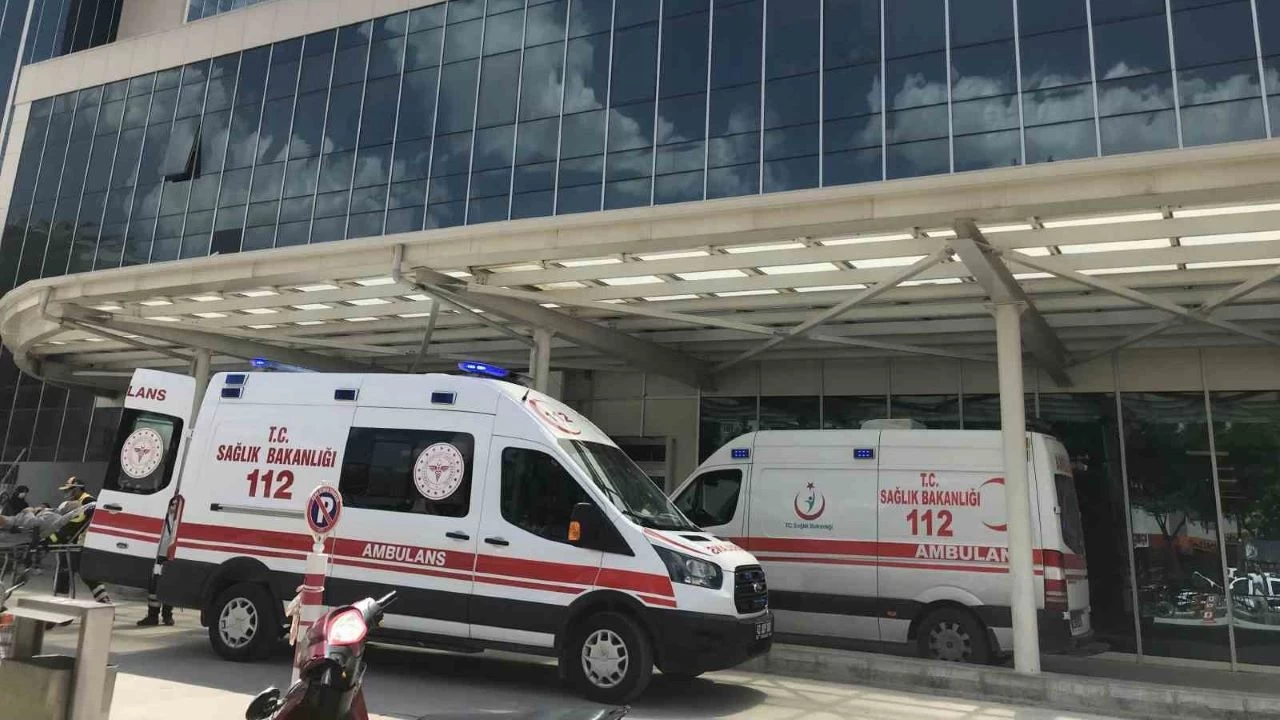 Baba ve oğlunun bıçakla saldırdığı galerici öldü