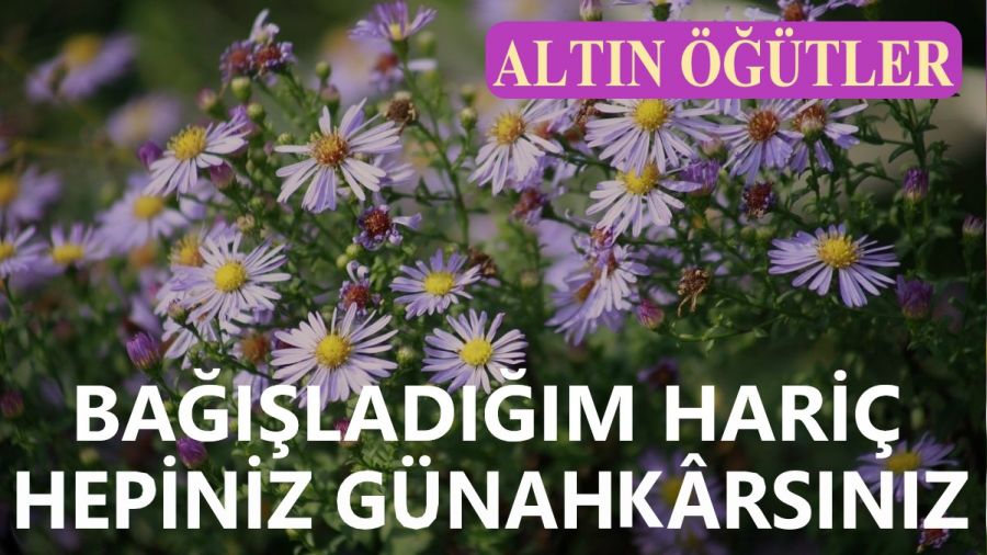 �Ba���lad���m hari� hepiniz g�nahk�rs�n�z�