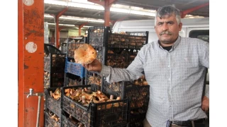 Bayrami'te kanlca mantar kylnn gelir kaps oldu