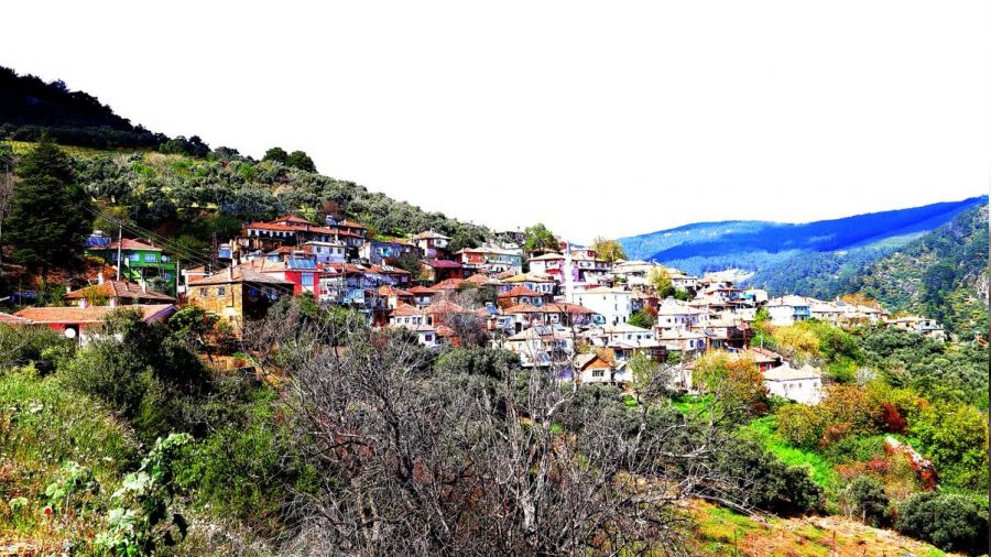 Belediyeye ait 21.900 m² tarla satılacak