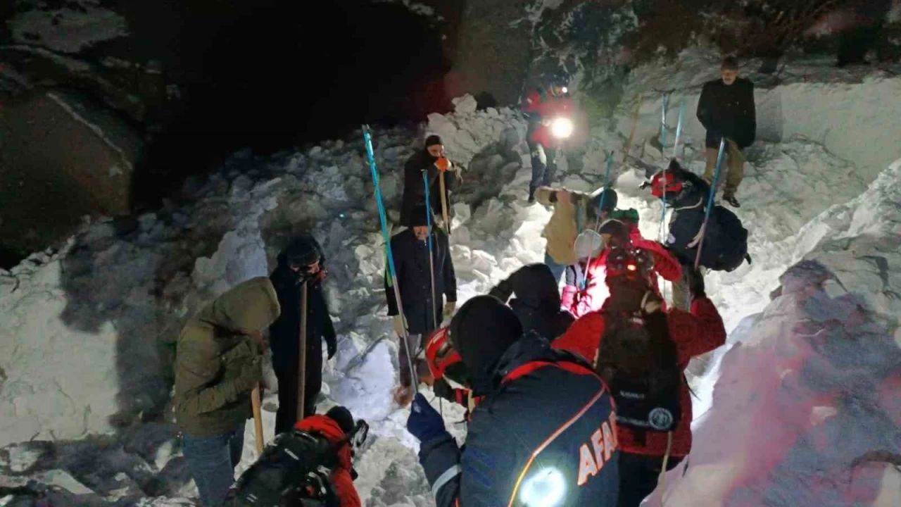 Bing�l'de ��� d��t�