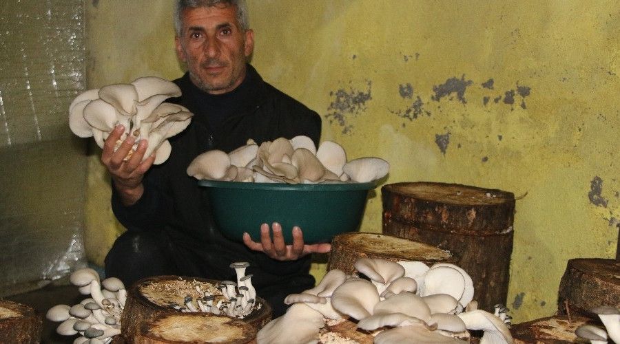 Bir torba ve bir k�t�k ile ba�lad� �imdi sipari�lere yeti�emiyor