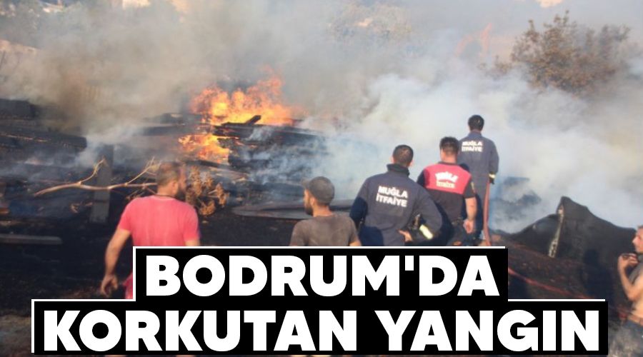 Bodrum'da korkutan yangn