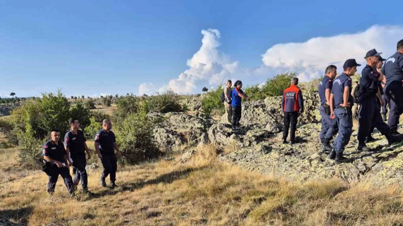 Bolu'da yabancı uyruklu şahıs ormanda ölü bulundu
