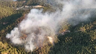 Bolu'daki orman yangını büyük ölçüde kontrol altına alındı