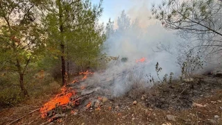 Bozyaz'da orman yangn kontrol altna alnd