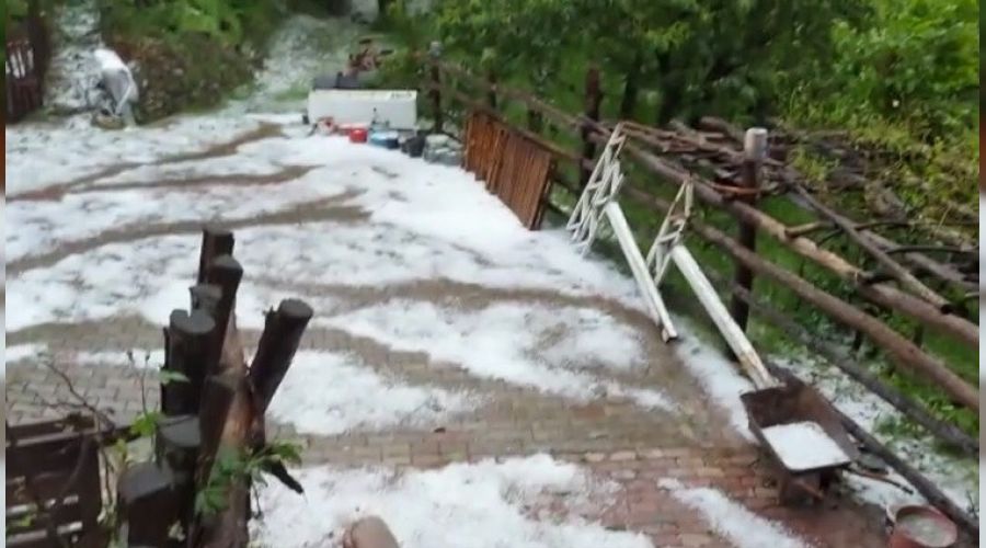 Bursa'da kestane a�a�lar� doludan zarar g�rd�