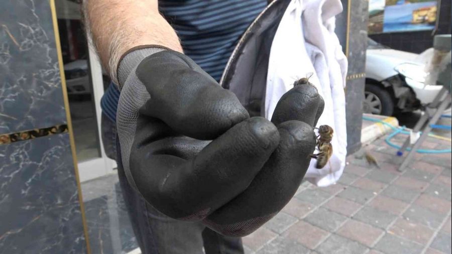 Bursa'da krali�e ar� ortal��� kar��t�rd�