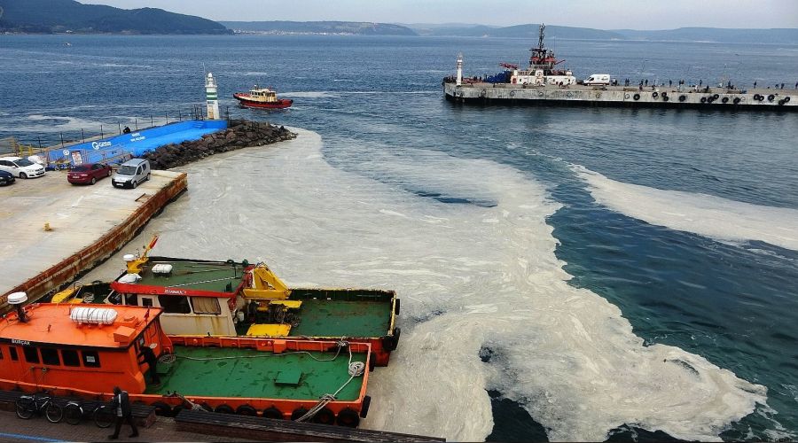 �anakkale'de 20 ton m�silaj topland�