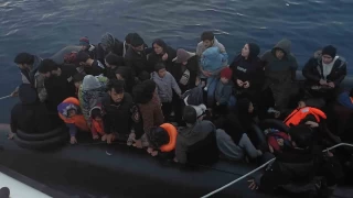 anakkale'de 42 kaak gmen yakaland