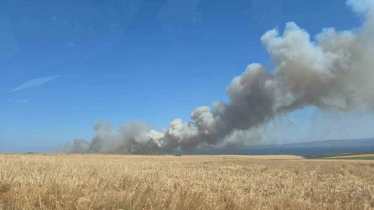 Çanakkale'de yangında yaklaşık 100 dönümlük alan zarar gördü