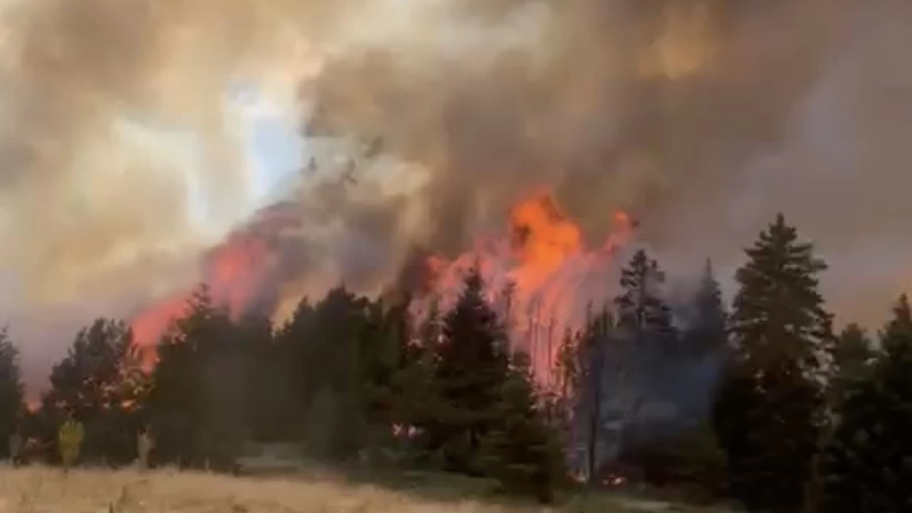 �ank�r�'da orman yang�n�