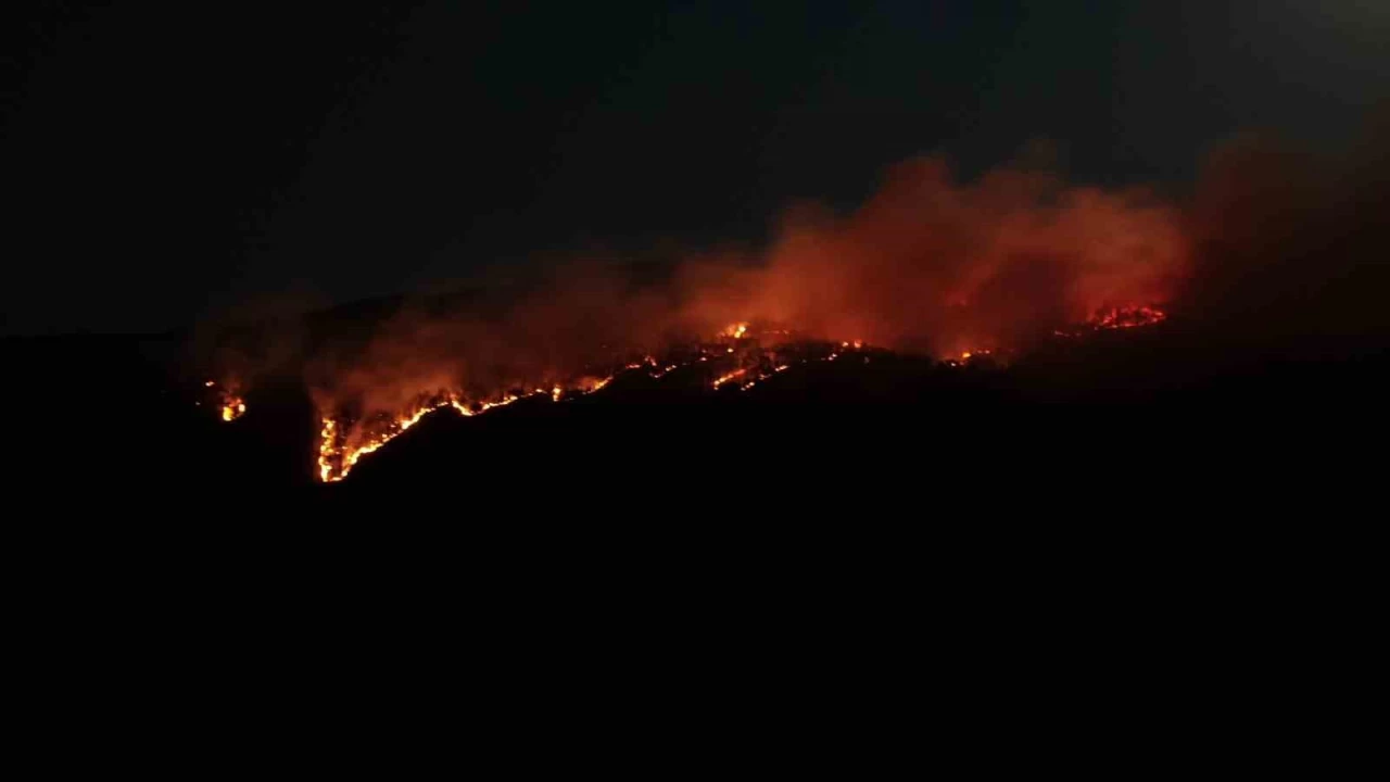 Çankırı'daki orman yangını havadan görüntülendi
