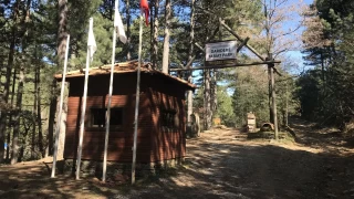 Darıdere Tabiat Parkı: Doğanın kalbinde bir vaha