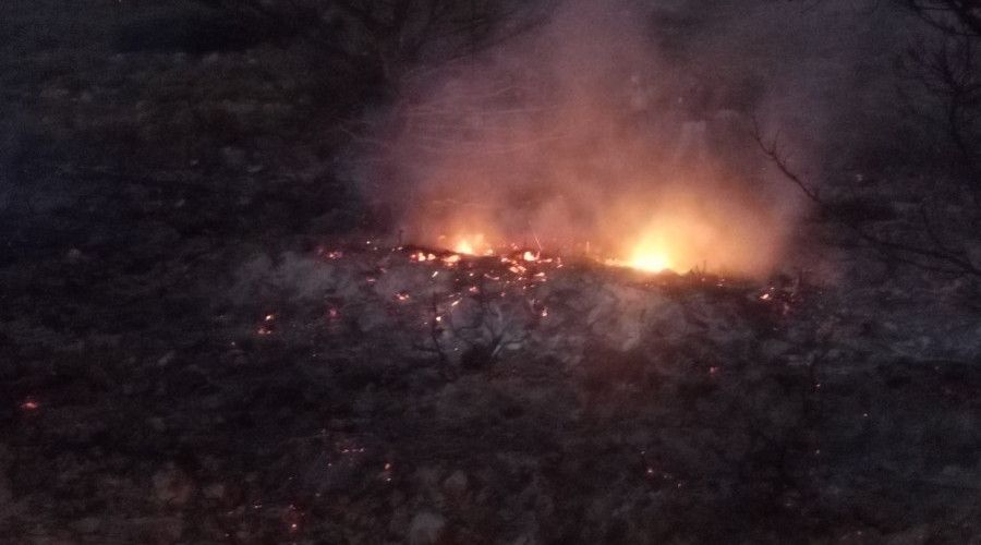 Datça'da makilik alanda yangın