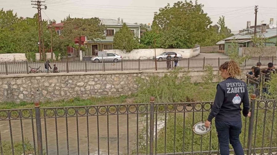 Derede kaçak avlanan inci kefali balığı yeniden suya bırakıldı
