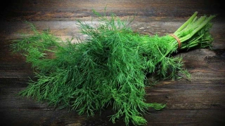 Dereotunun bu faydalarn biliyor muydunuz?