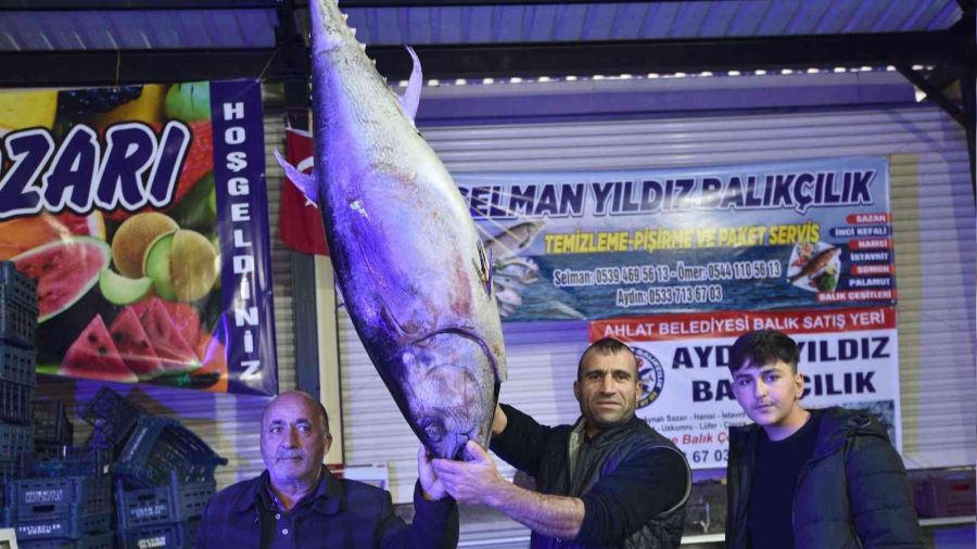 Dev orkinos ilgi odağı oldu
