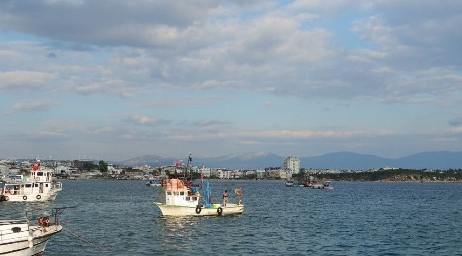 Didim'de deniz patlcan avcl sona erdi