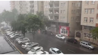 Diyarbakr'da lks otomobil devrilen aacn altnda kald