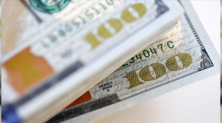 Dolar 15 liraya dayandı