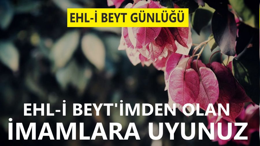 ‘Ehl-i Beyt’imden olan imamlara uyunuz’