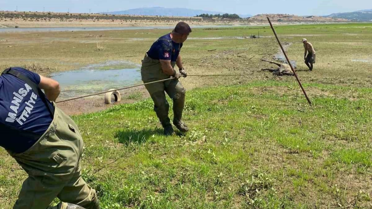 Ekiplerin canhıraş mücadelesi takdir topladı