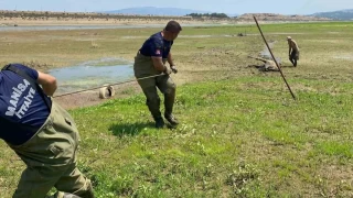 Ekiplerin canhra mcadelesi takdir toplad